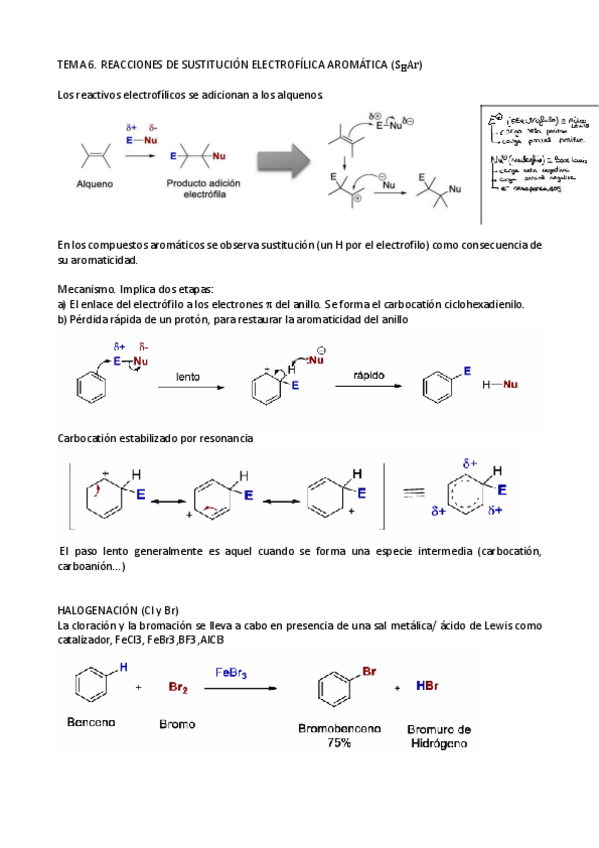 Miniatura del documento TEMA-6.pdf