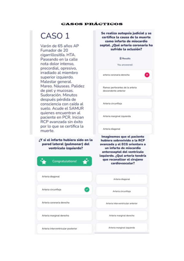 Miniatura del documento CASOS-PRACTICOS.pdf
