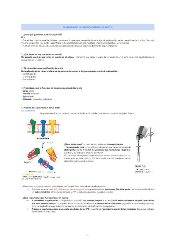 Miniatura del documento SEMINARIO.-PURIFICACION-DE-LAS-PROTEINAS.pdf