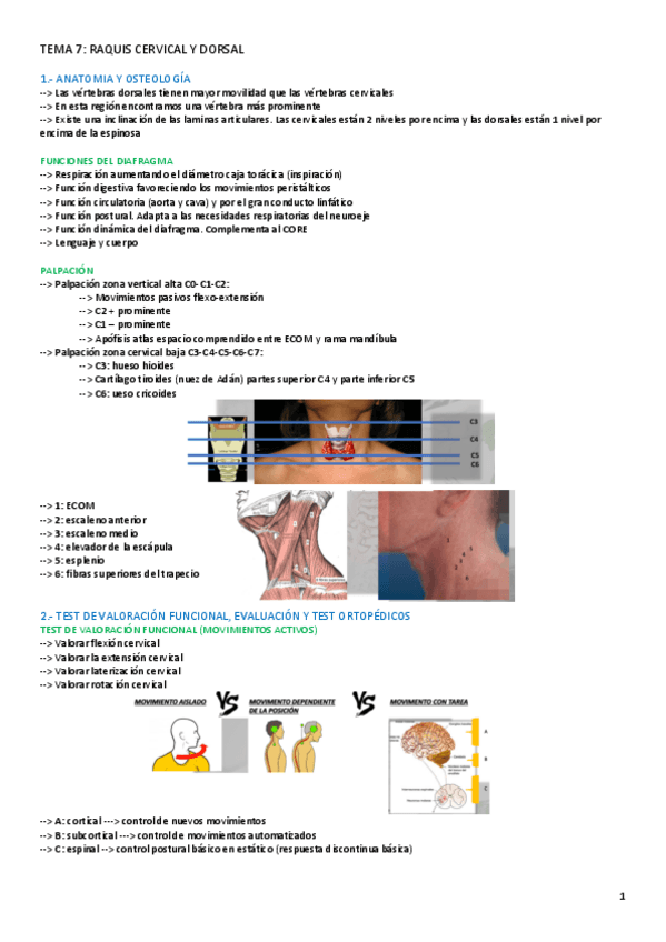 Miniatura del documento TEMA-7-TERAPIA.pdf