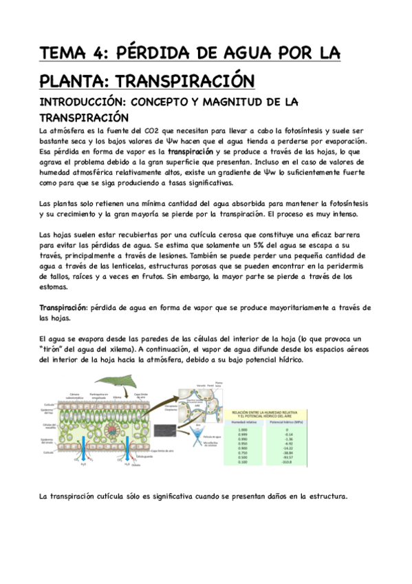 Miniatura del documento TEMA-4-PERDIDA-DE-AGUA-POR-LA-PLANTA-TRANSPIRACION.pdf