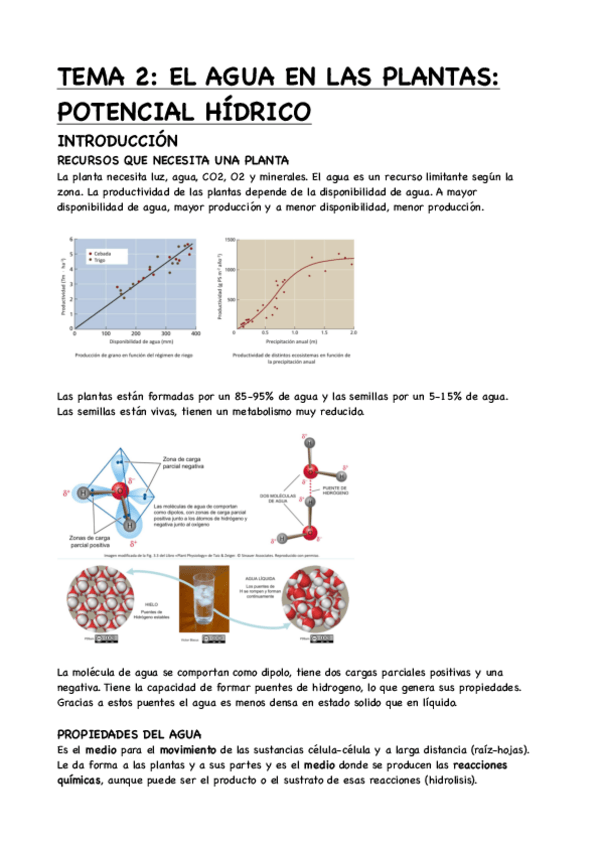 Miniatura del documento TEMA-2-EL-AGUA-EN-LAS-PLANTAS-POTENCIAL-HIDRICO.pdf