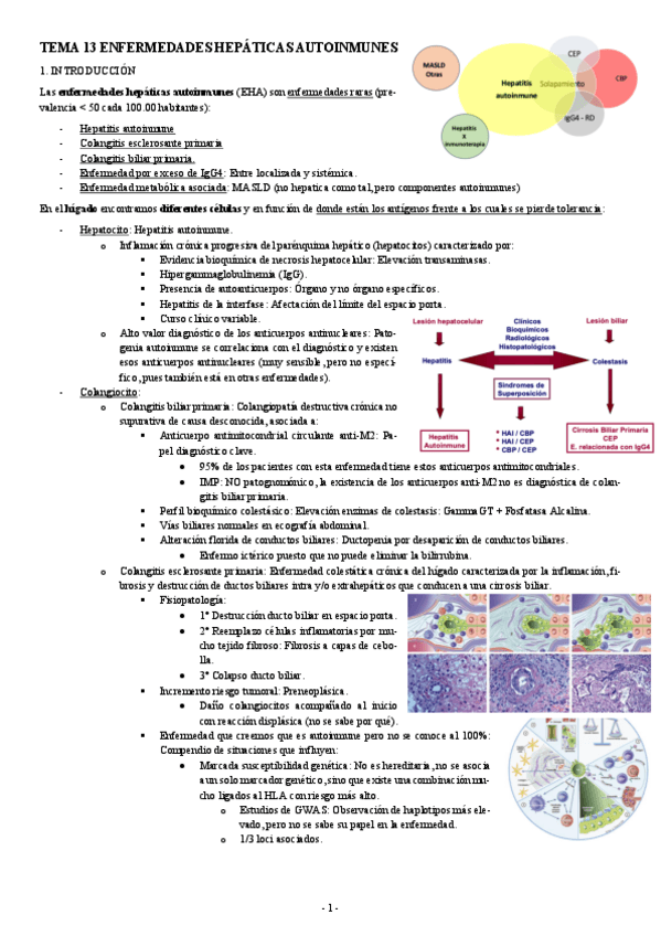 Miniatura del documento INMUNOPATOLOGIA-TEMA-13-ENFERMEDADES-HEPATICAS-AUTOINMUNES.pdf