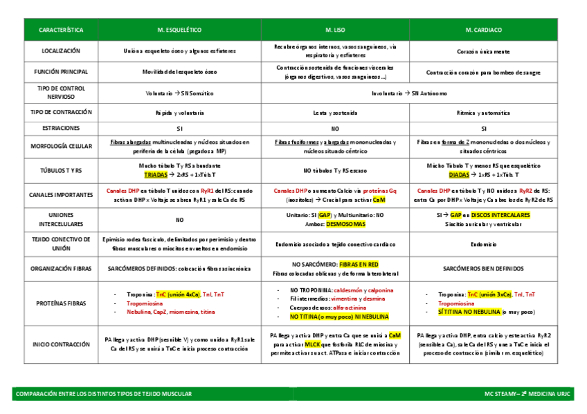 Miniatura del documento Tabla-Diferencias-Musculos.pdf