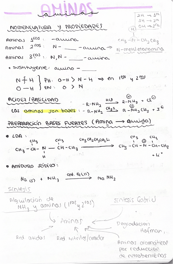 Miniatura del documento AMINAS-RESUMEN-COMPLETO-TEMA-11.pdf