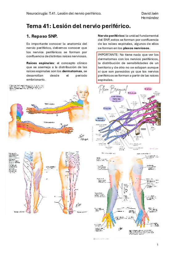 Miniatura del documento T.-41-Lesion-del-nervio-periferico..pdf
