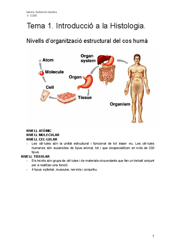 Miniatura del documento Tema-1-Introduccio-a-la-Histologia.pdf