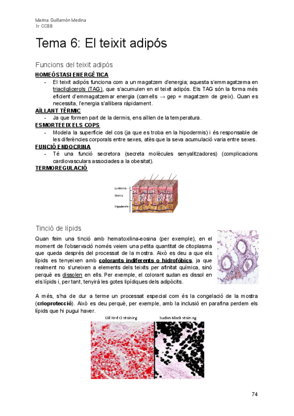 Miniatura del documento Tema-6-Teixit-adipos.pdf