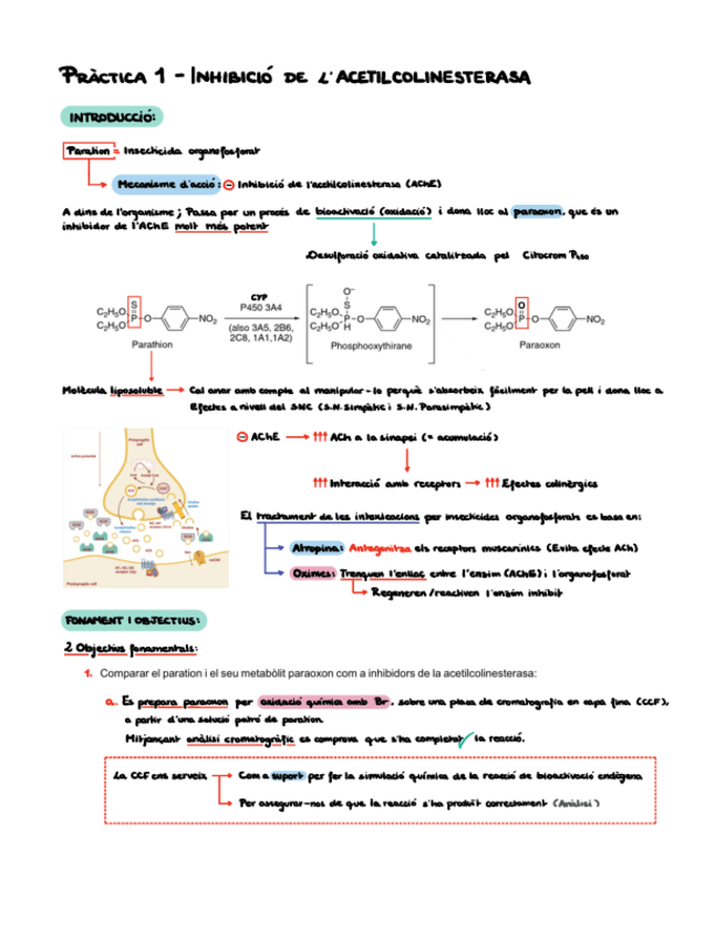 Miniatura del documento Apunts-practiques-toxicologia.pdf
