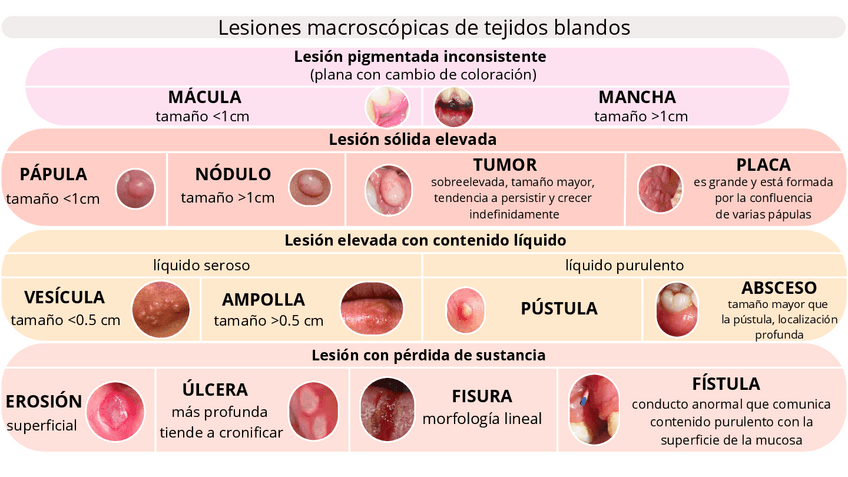 Miniatura del documento Estudio-de-la-Cavidad-Oral.pdf