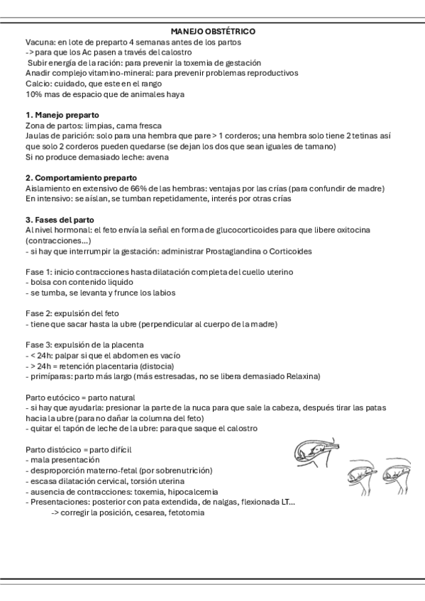 Miniatura del documento 15.-Manejo-obstetrico.pdf