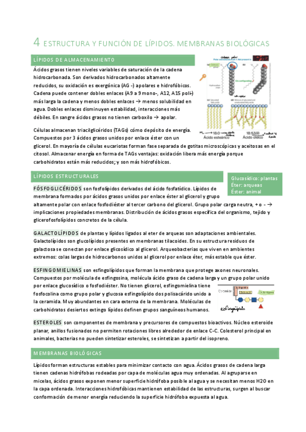 Miniatura del documento B4.pdf