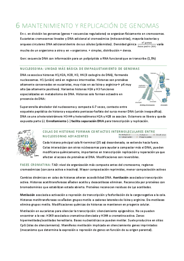 Miniatura del documento B6.pdf