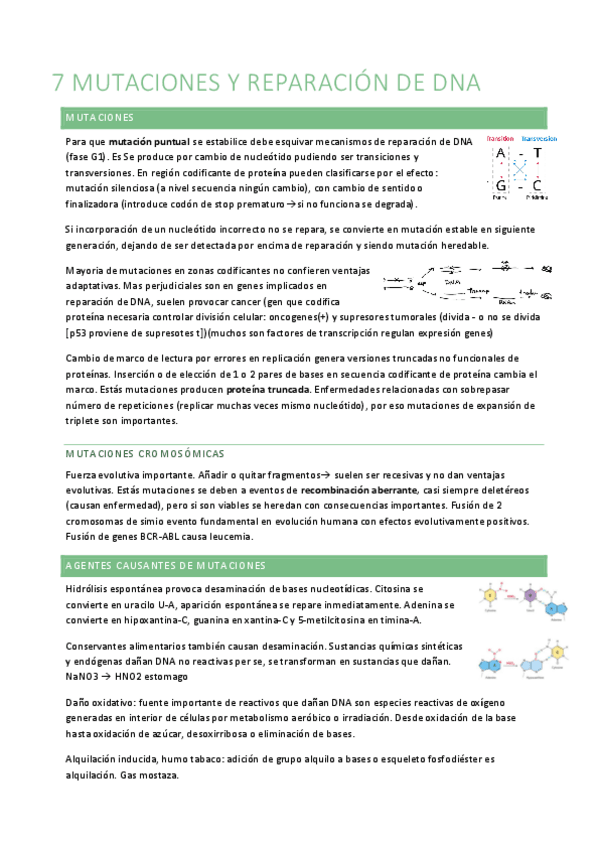 Miniatura del documento B7.pdf