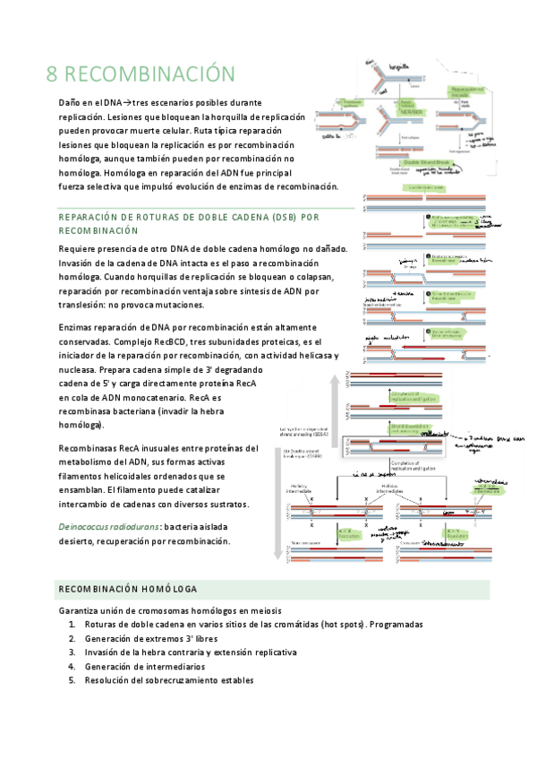 Miniatura del documento B8.pdf