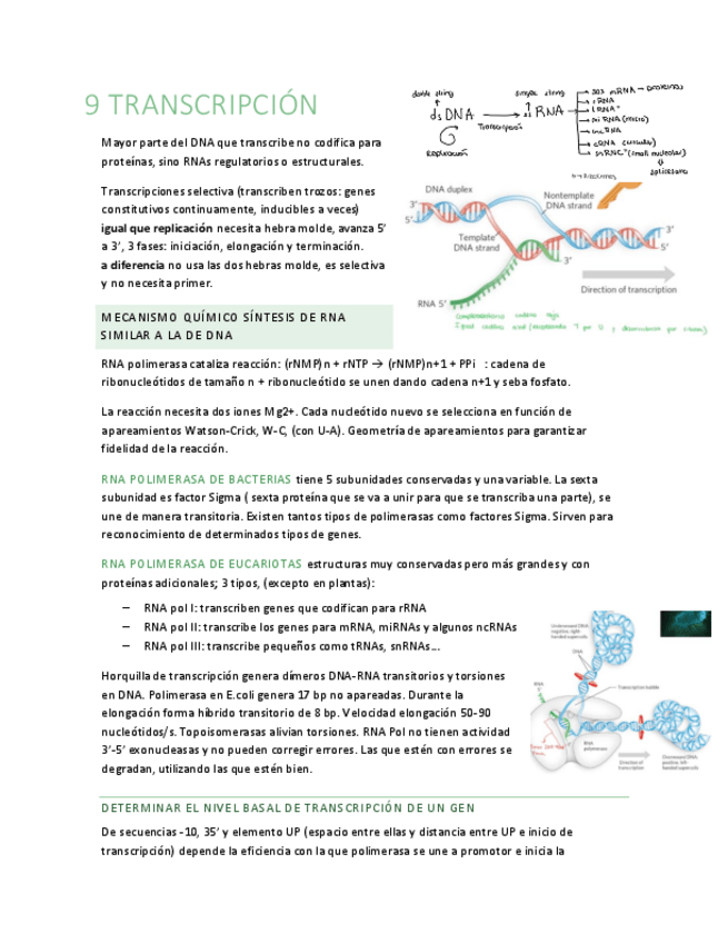 Miniatura del documento B9.pdf