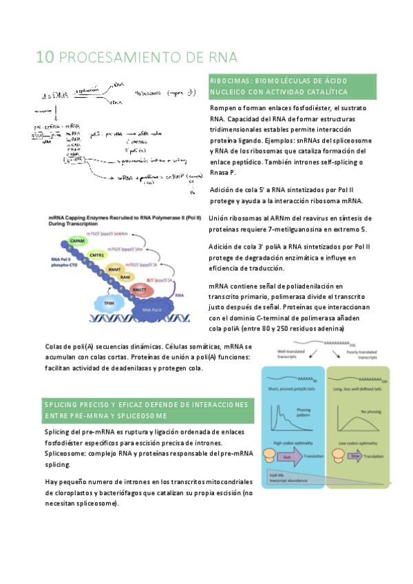 Miniatura del documento B10.pdf