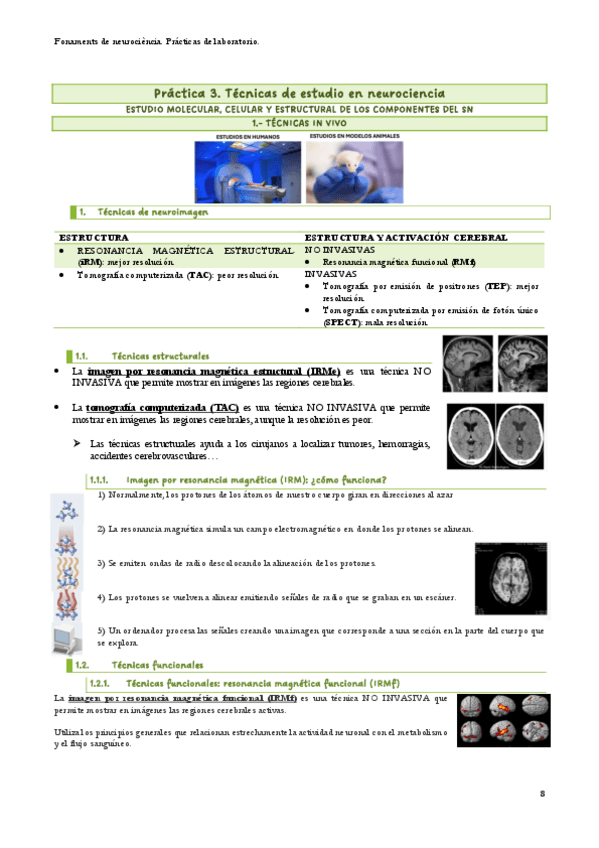 Miniatura del documento laboratorio-3-fundamentos-de-neurociencia.pdf