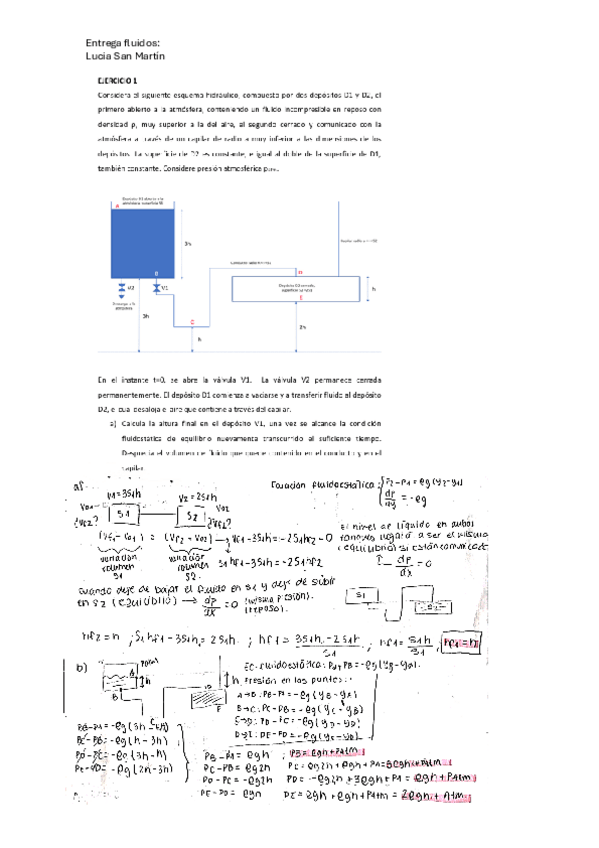 Miniatura del documento entrega-fluidos-Lucia-San-Martin.pdf
