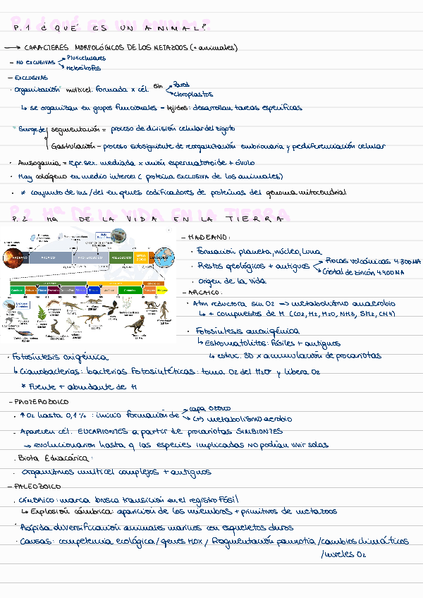 Miniatura del documento T-11-INTRO-A-LA-DIVERSIDAD-ANIMAL.pdf