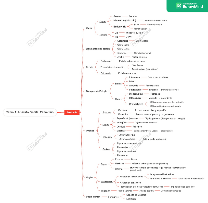 Miniatura del documento Esquema-tema-1.pdf