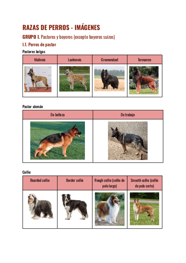 Miniatura del documento RAZAS-DE-PERROS-IMAGENES.pdf