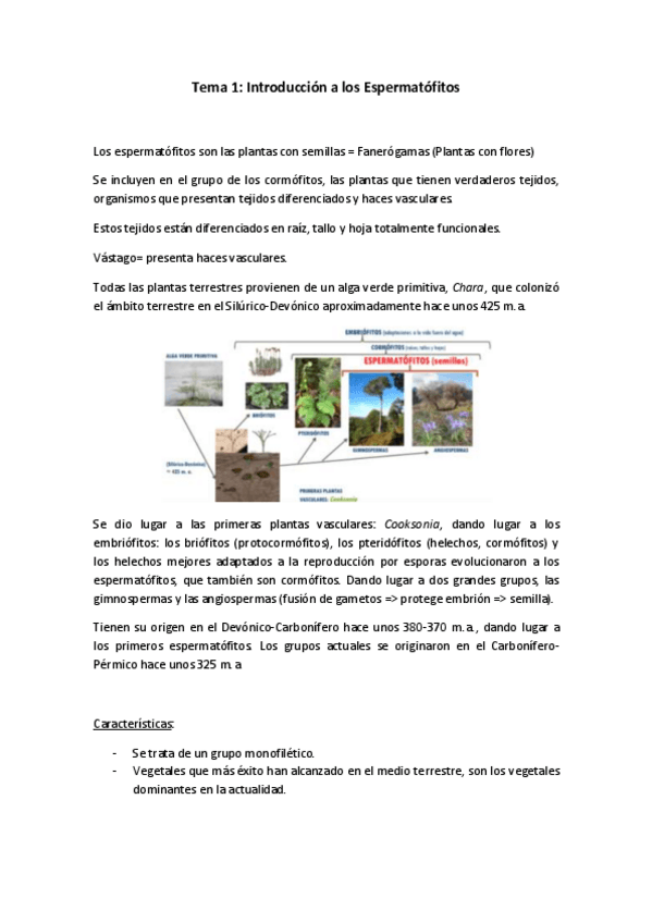 Miniatura del documento Tema-1-Introduccion-a-los-espermatofitos.pdf