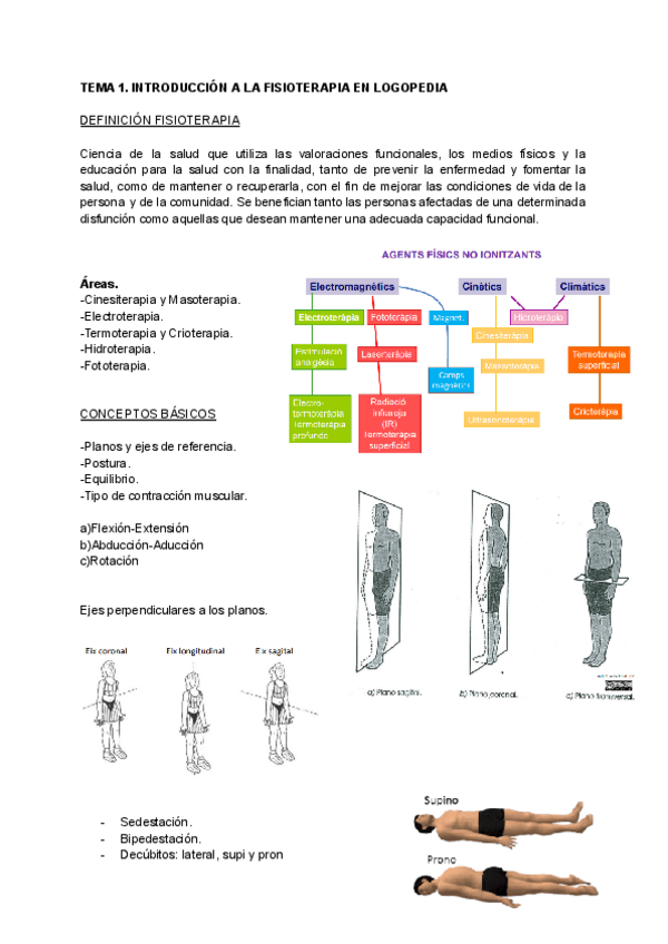 Miniatura del documento Apuntes-Fisio.pdf