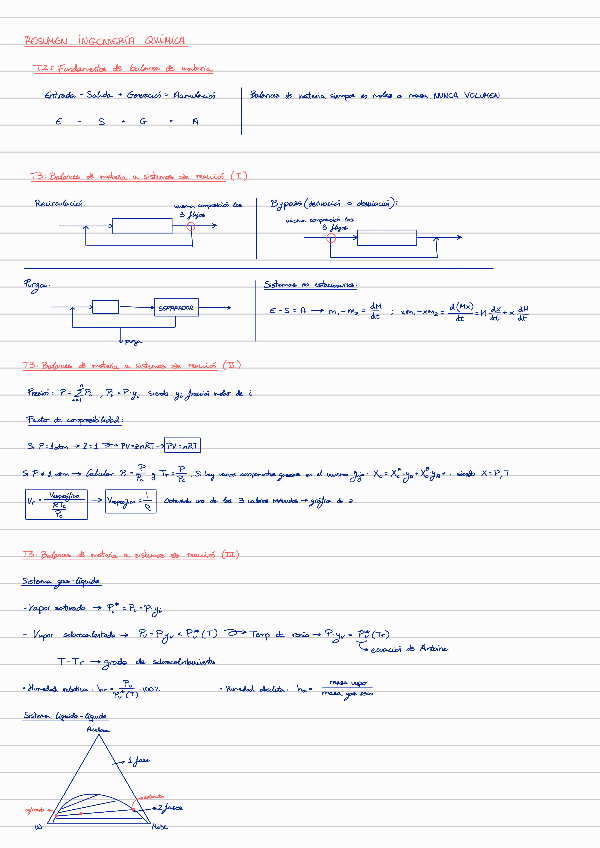 Miniatura del documento Resumen-T2-8.pdf