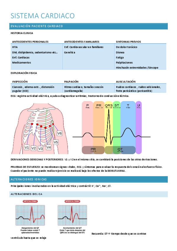 Miniatura del documento CUIDADOS-SISTEMA-CARDIO.pdf
