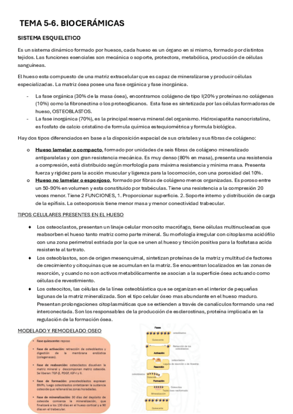 Miniatura del documento BLOQUE-3.-bioceramicas.pdf