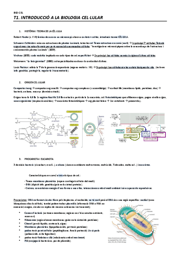 Miniatura del documento Resum-Bio-Cel-complet.pdf