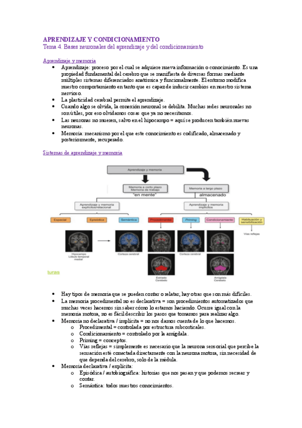 Miniatura del documento AyC.-Tema-4.pdf