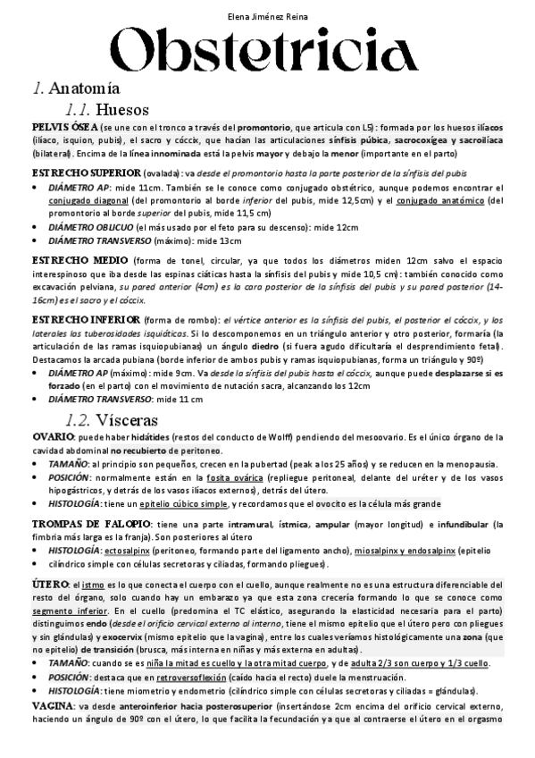 Miniatura del documento Resumen-Obstetricia-EJR.pdf