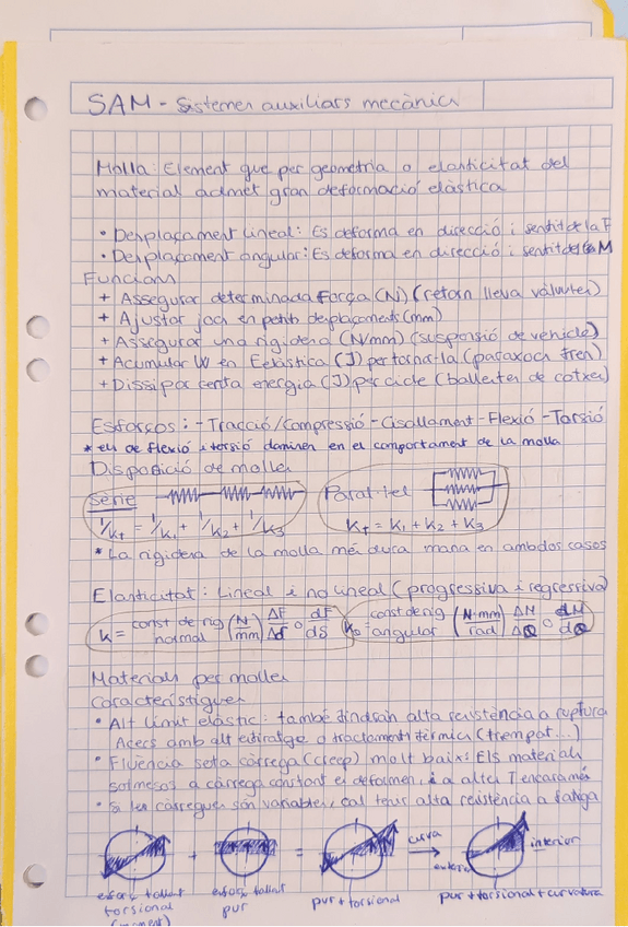 Miniatura del documento ResumApuntsSAM.pdf
