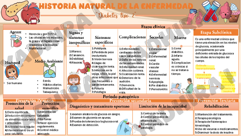 Miniatura del documento Historia-natural-de-la-enfermedad-diabetes-tipo-2.pdf