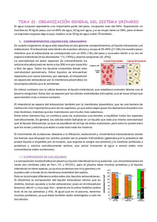 Miniatura del documento bq-renal.pdf