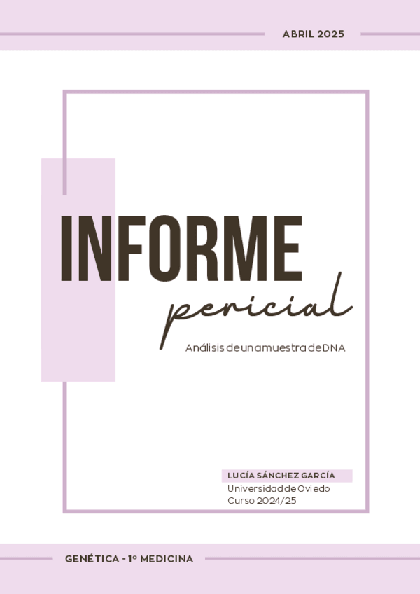 Miniatura del documento Informe-pericial.pdf