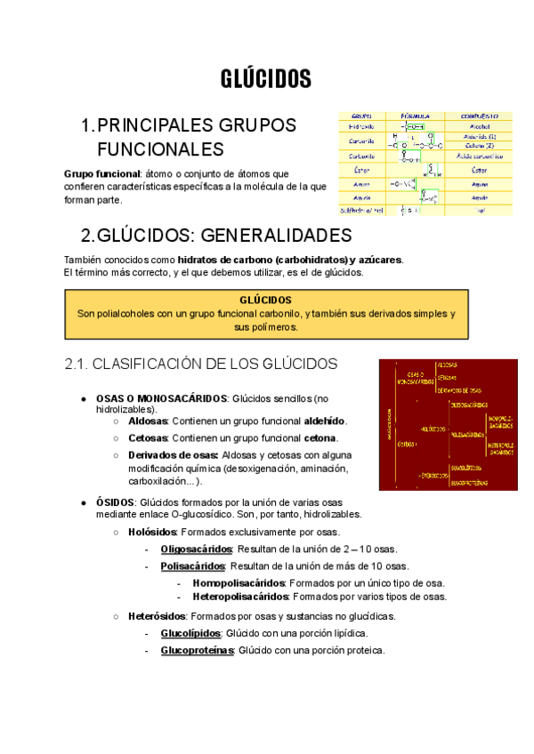 Miniatura del documento Biologia-t2-glucidos.pdf