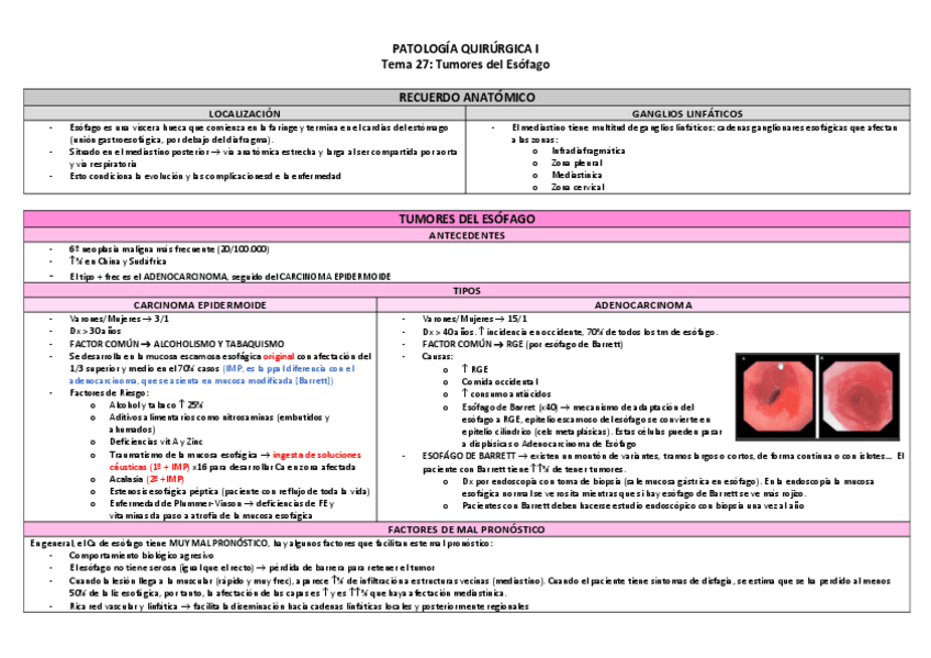 Miniatura del documento Tema-27-Tm-Esofago-TABLA.pdf