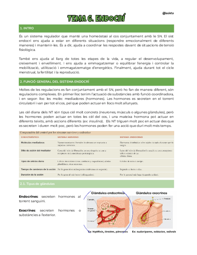 Miniatura del documento Tema-6-endocri-FCH-II.pdf