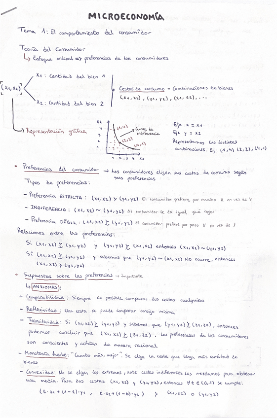 Miniatura del documento Tema-1-Microeconomia.pdf