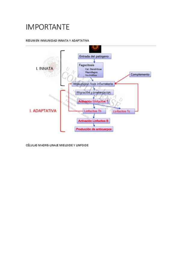 Miniatura del documento Importante.pdf