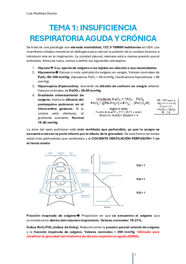 Miniatura del documento INSUFICIENCIA-RESPIRATORIA.pdf