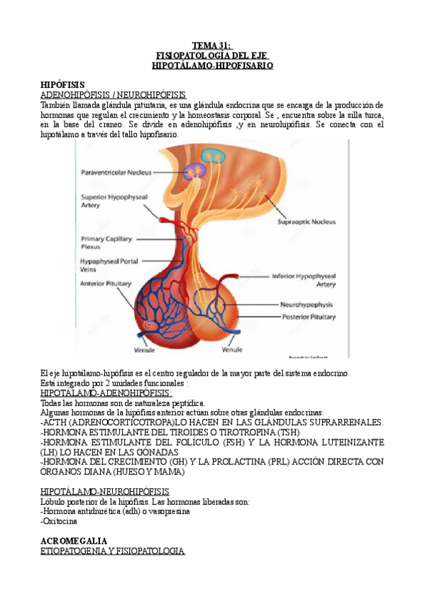 Miniatura del documento TEMA-31-FISIOPATOLOGIA.pdf