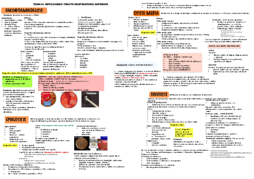 Miniatura del documento Micr-T14151617.pdf