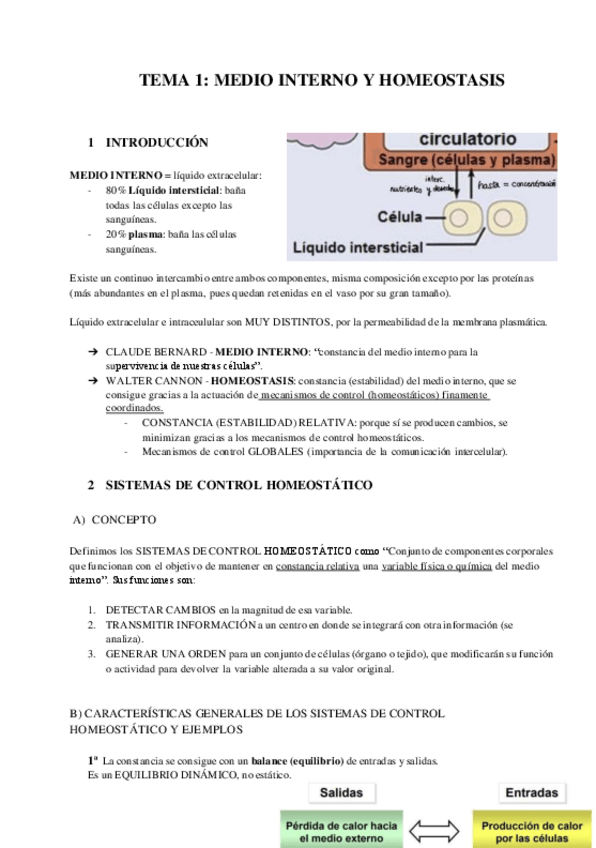 Miniatura del documento APUNTES-BLOQUE-I-Introduccion-y-fisiologia-celular.pdf