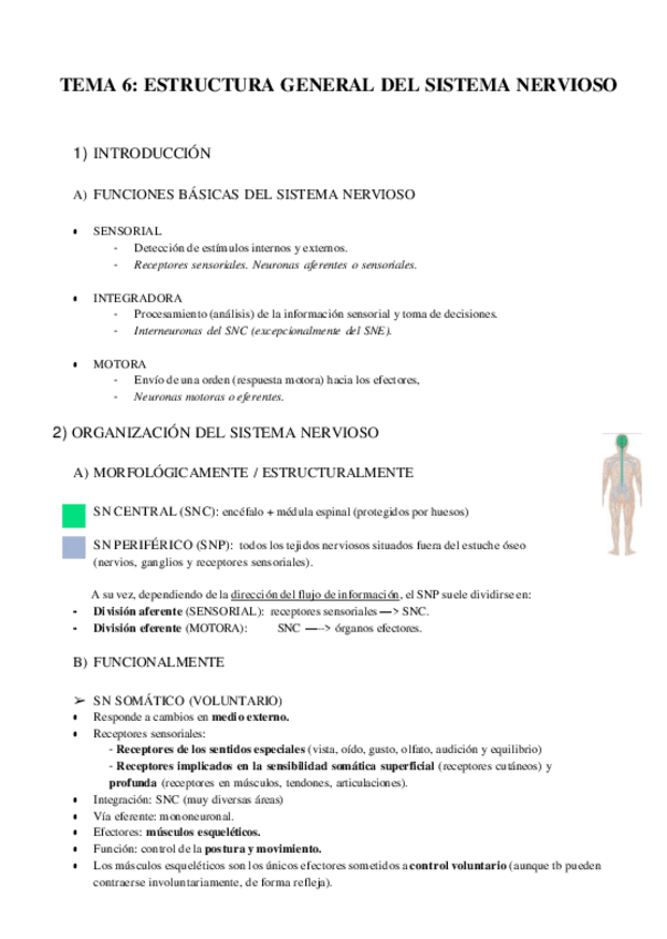 Miniatura del documento BLOQUE-II-Sisterma-nervioso-parte-1.pdf