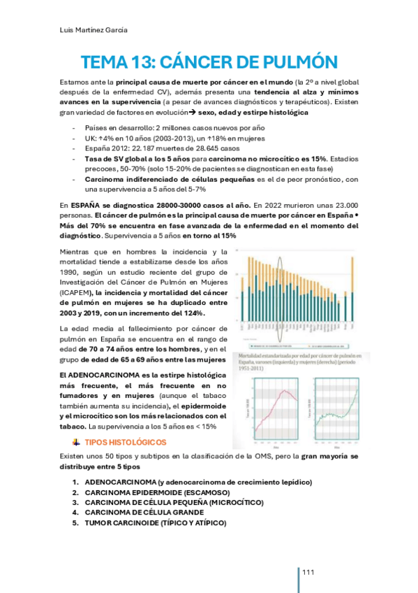 Miniatura del documento CA-PULMON.pdf