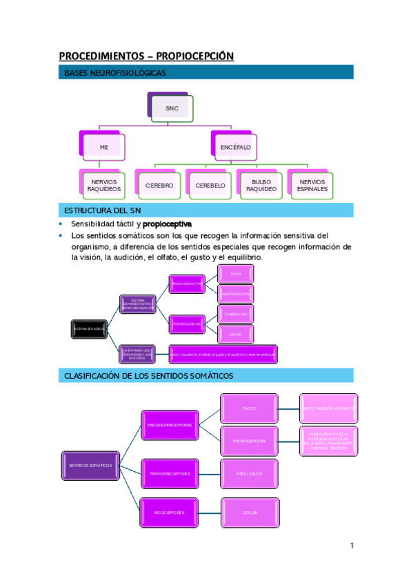 Miniatura del documento PROPIO.pdf